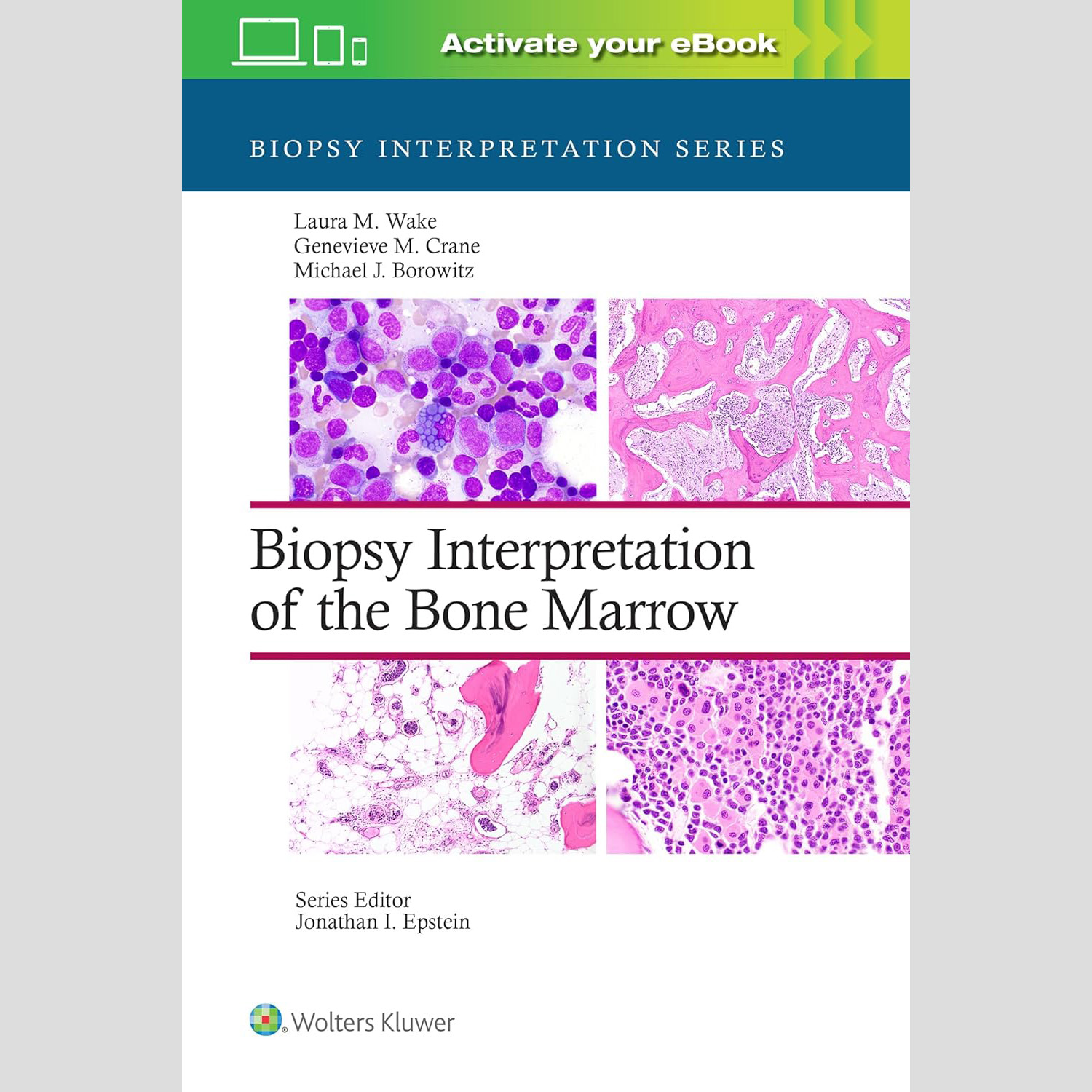 (電子書) Biopsy Interpretation of the Bone Marrow