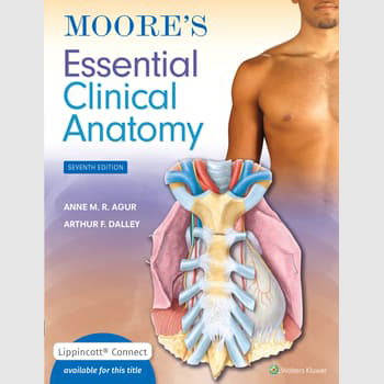 (電子書) Moore's Essential Clinical Anatomy, 7e 