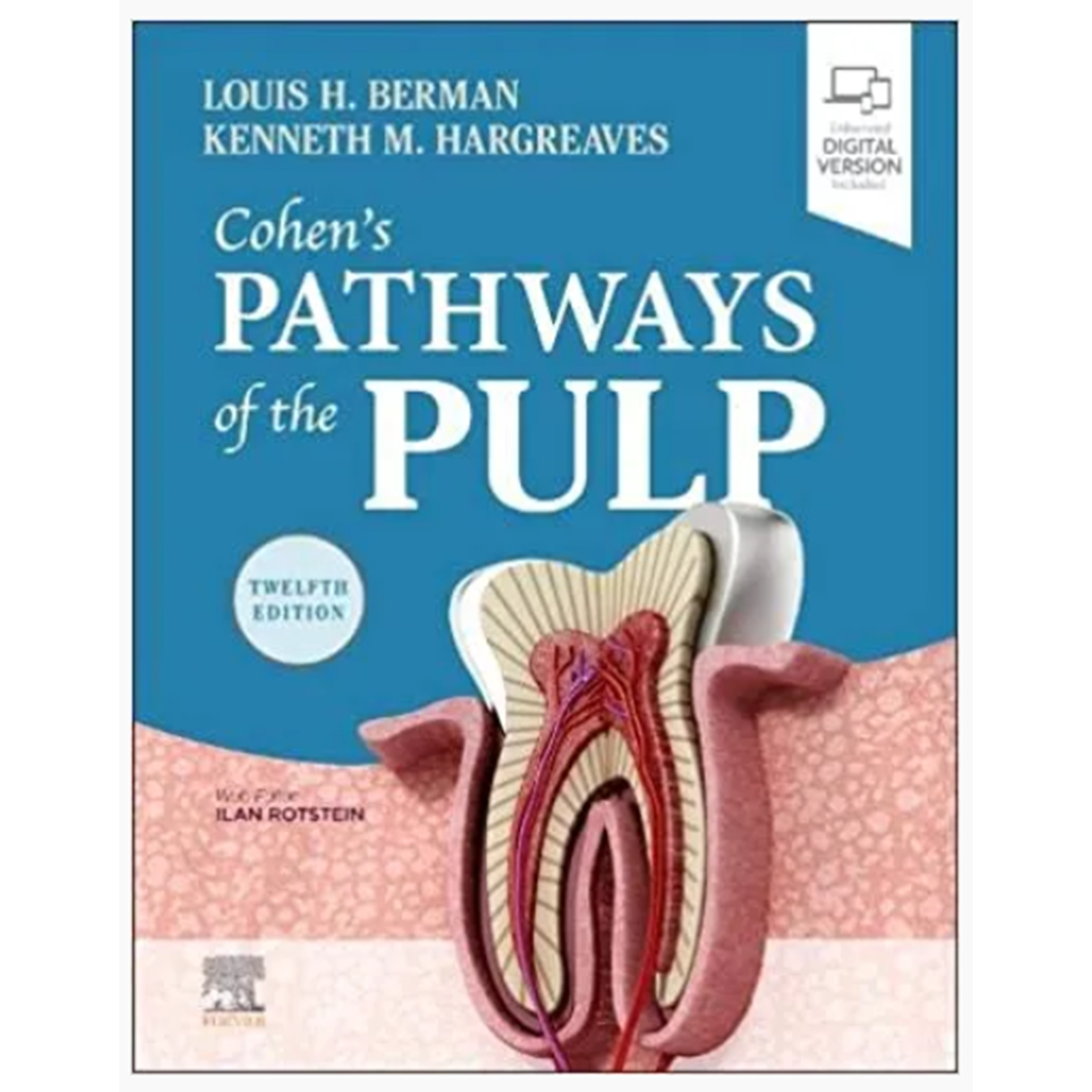 Cohen's Pathways of the Pulp