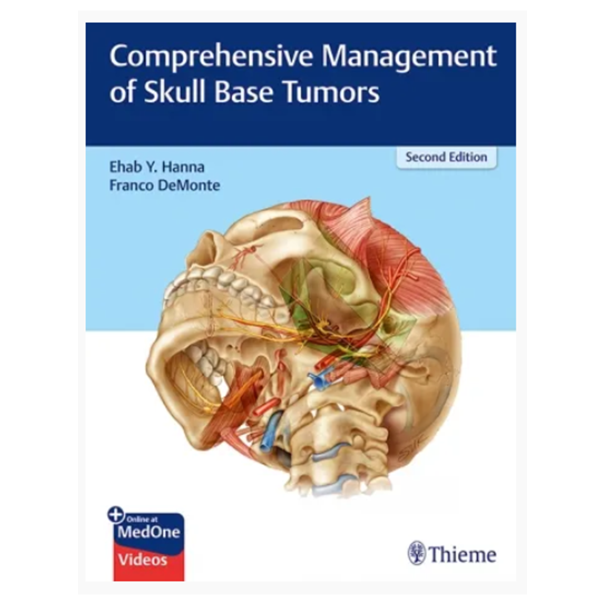 Comprehensive Management of Skull Base Tumors