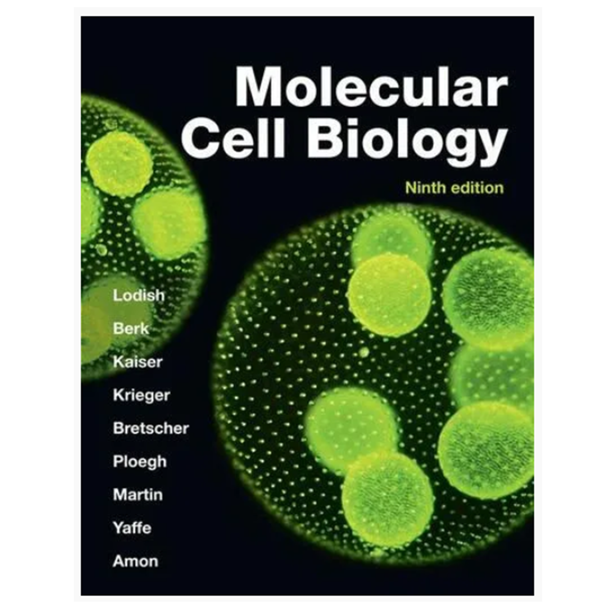 Molecular Cell Biology (IE)