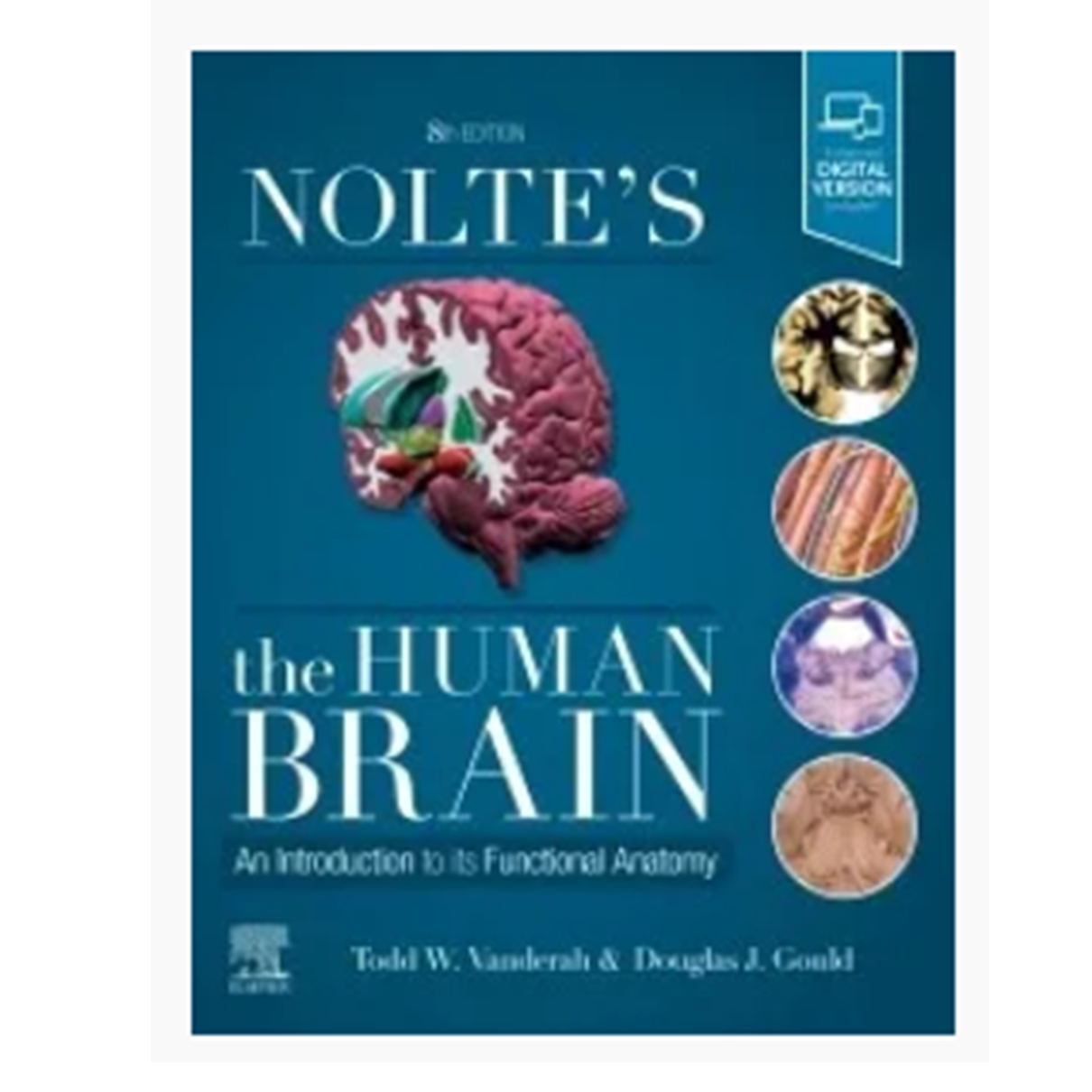 Nolte's The Human Brain: An Introduction to its Functional Anatomy