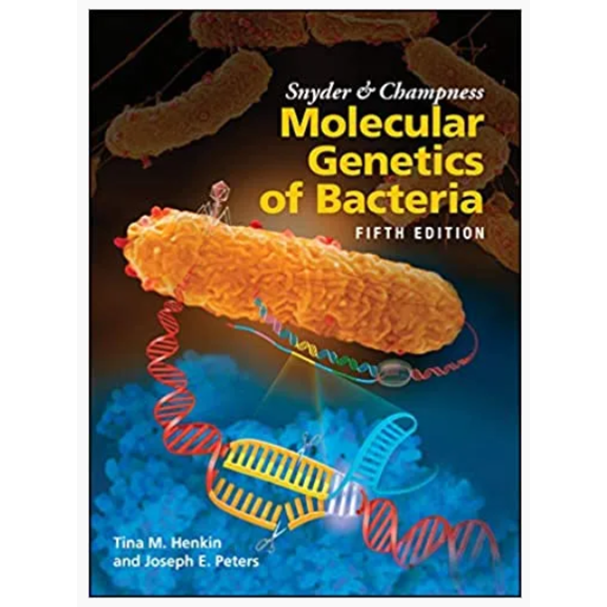 Snyder & Champness Molecular Genetics of Bacteria